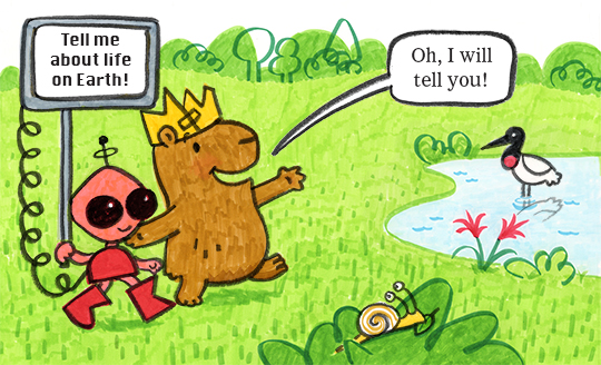 Illustration portfolio